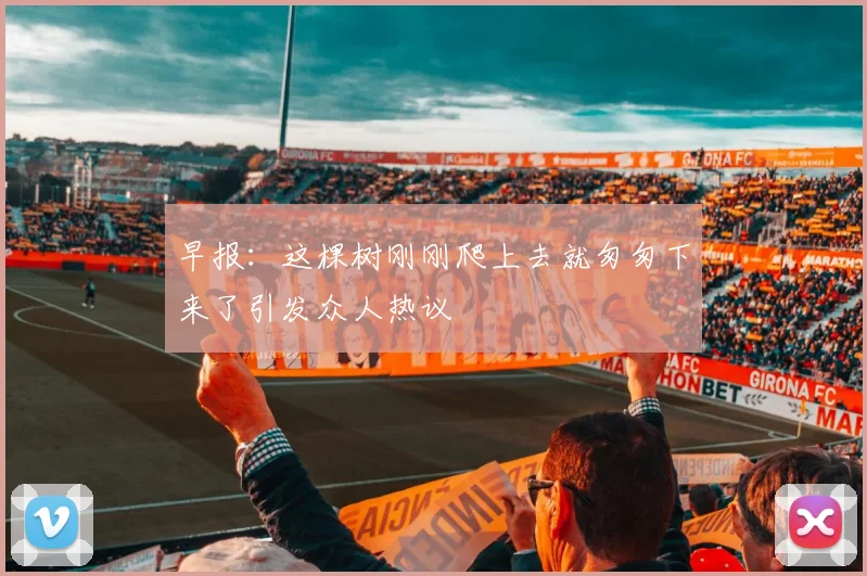 早报：这棵树刚刚爬上去就匆匆下来了引发众人热议